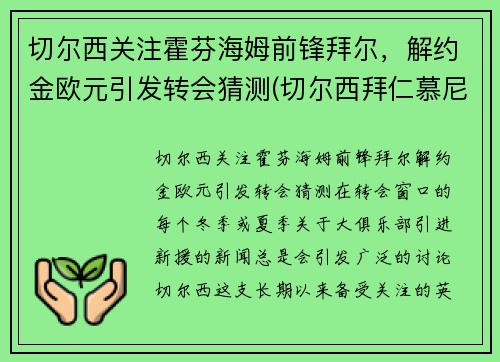 切尔西关注霍芬海姆前锋拜尔，解约金欧元引发转会猜测(切尔西拜仁慕尼黑)