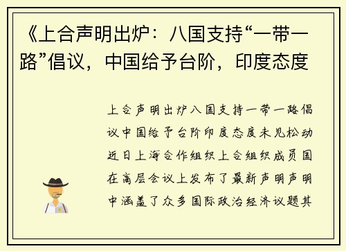 《上合声明出炉：八国支持“一带一路”倡议，中国给予台阶，印度态度未见松动》